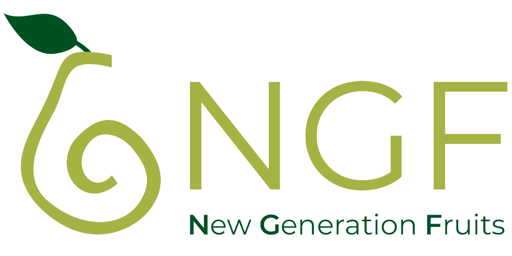 Logotipo New Generation Fruits